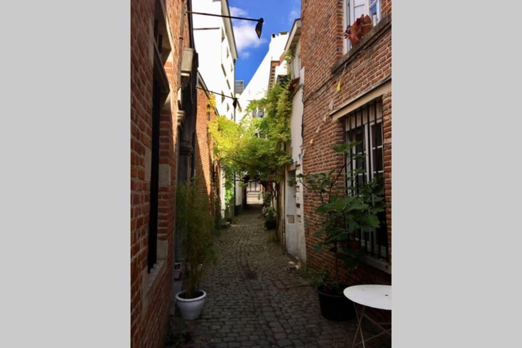En Plein Coeur De Bruxelles. Superbe Duplex.A Voir! المظهر الخارجي الصورة