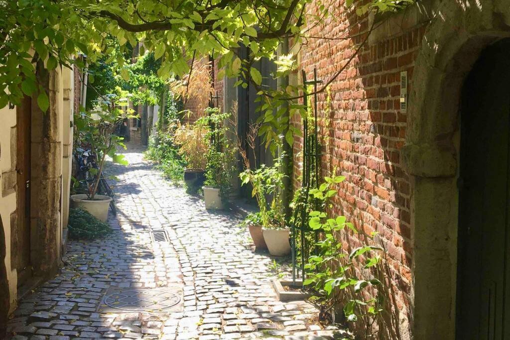 En Plein Coeur De Bruxelles. Superbe Duplex.A Voir! المظهر الخارجي الصورة
